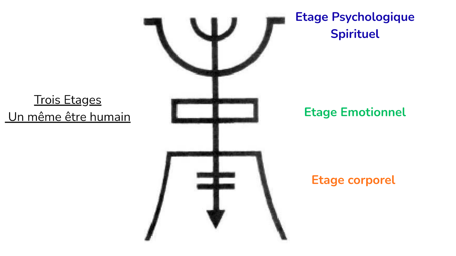 Trois étages - Un même être humain